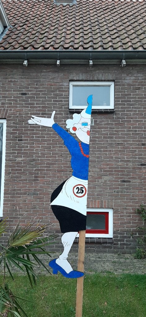 Halve Sarah bord te huur - Feestbord 25 Jaar - €10,00 P/W, Ophalen, Zo goed als nieuw, Abraham of Sarah