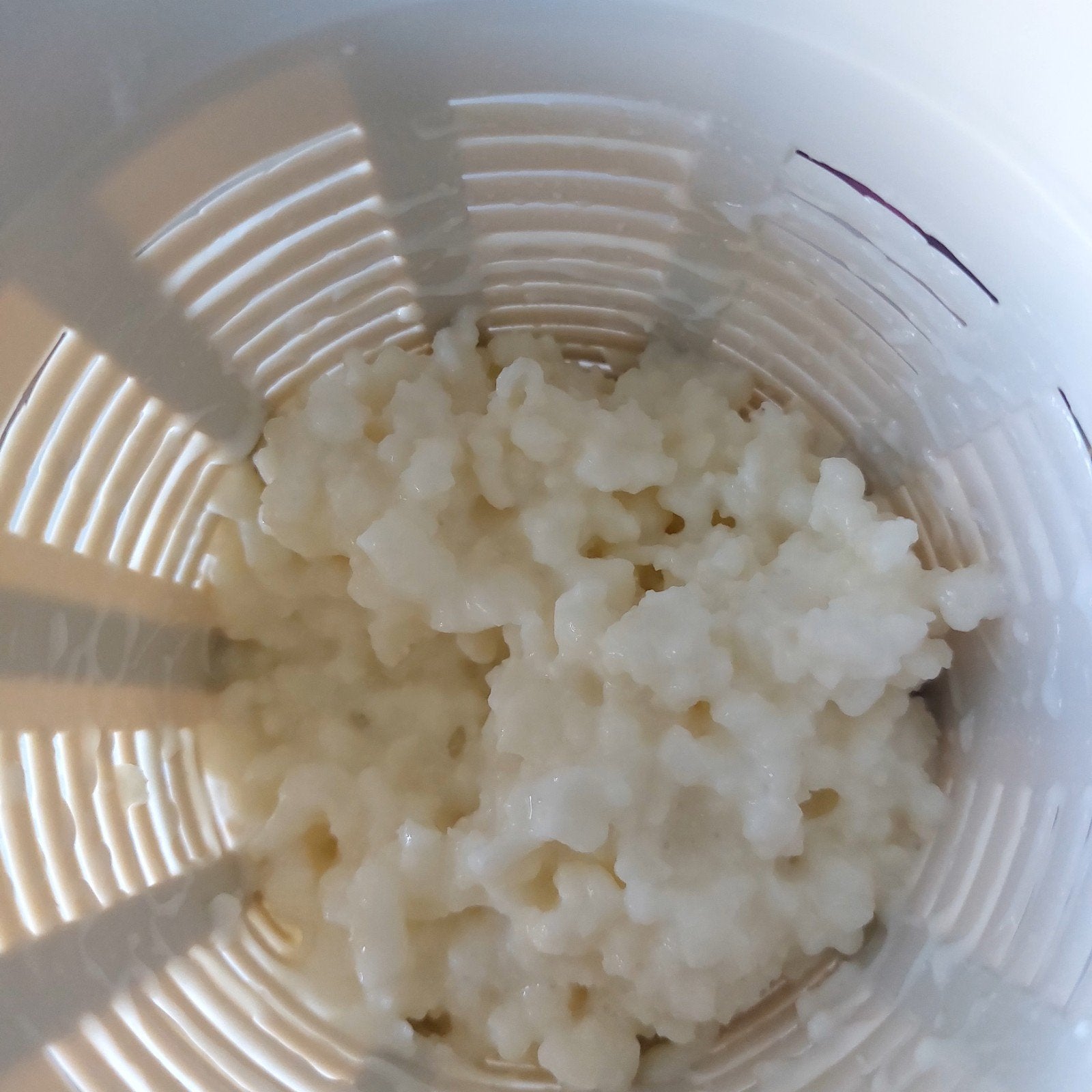 Melk kefir, Ophalen