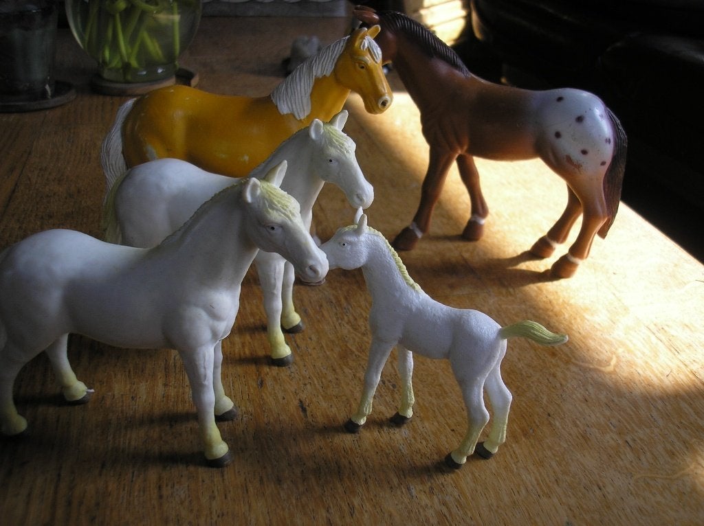 paarden, diverse, Ophalen of Verzenden, Jongen of Meisje