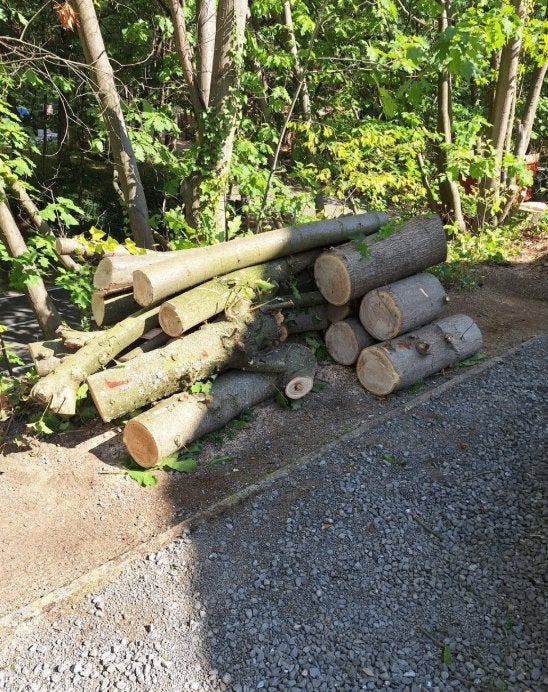 haardhout, 3 tot 6 m³, Ophalen, Eikenhout, Stammen