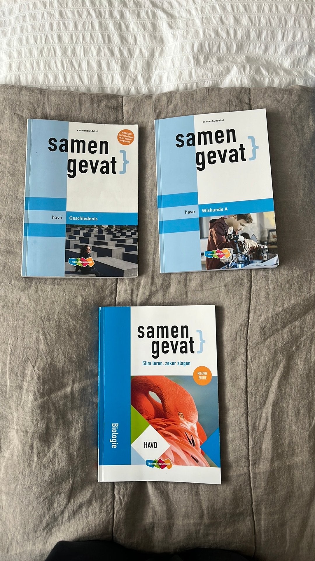 Samengevat - HAVO, Ophalen of Verzenden, Zo goed als nieuw, HAVO