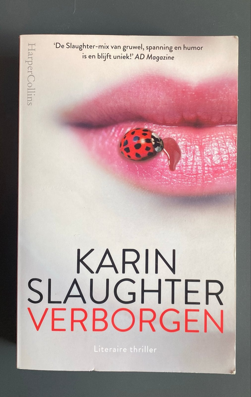 Karin Slaughter - Verborgen (Will Trent serie), Ophalen of Verzenden, Zo goed als nieuw