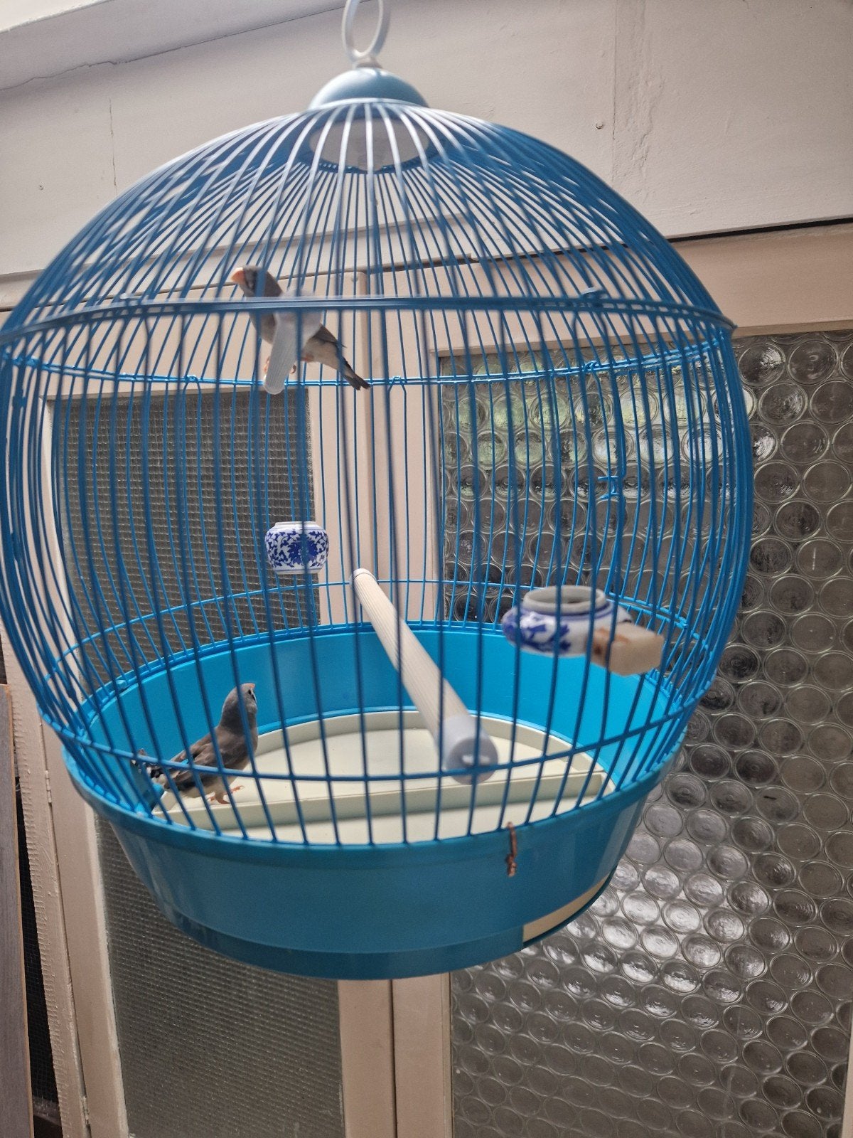 Zebravinken vogelkooi kooi zebravinken vogel volière, Dieren en Toebehoren, Ophalen of Verzenden, Zo goed als nieuw, Metaal, Vogelkooi