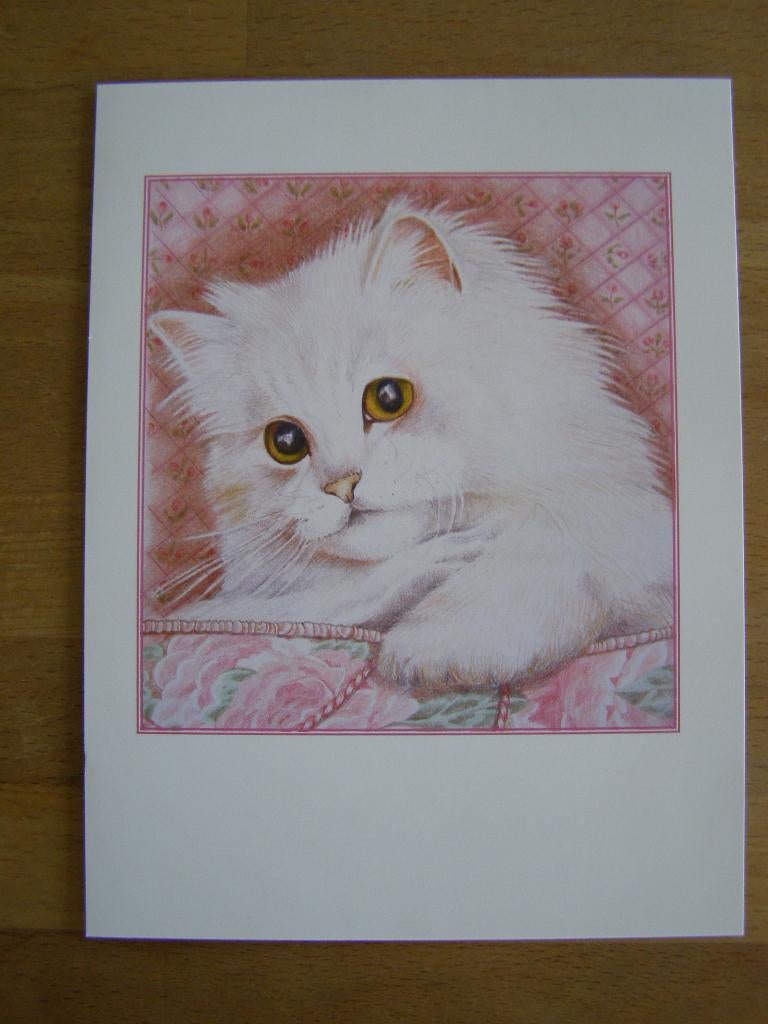 Dubbele kaart met afbeelding van poes / kat; Melanie Panesh, 1980 tot heden, Nieuw, Ophalen of Verzenden, Dier