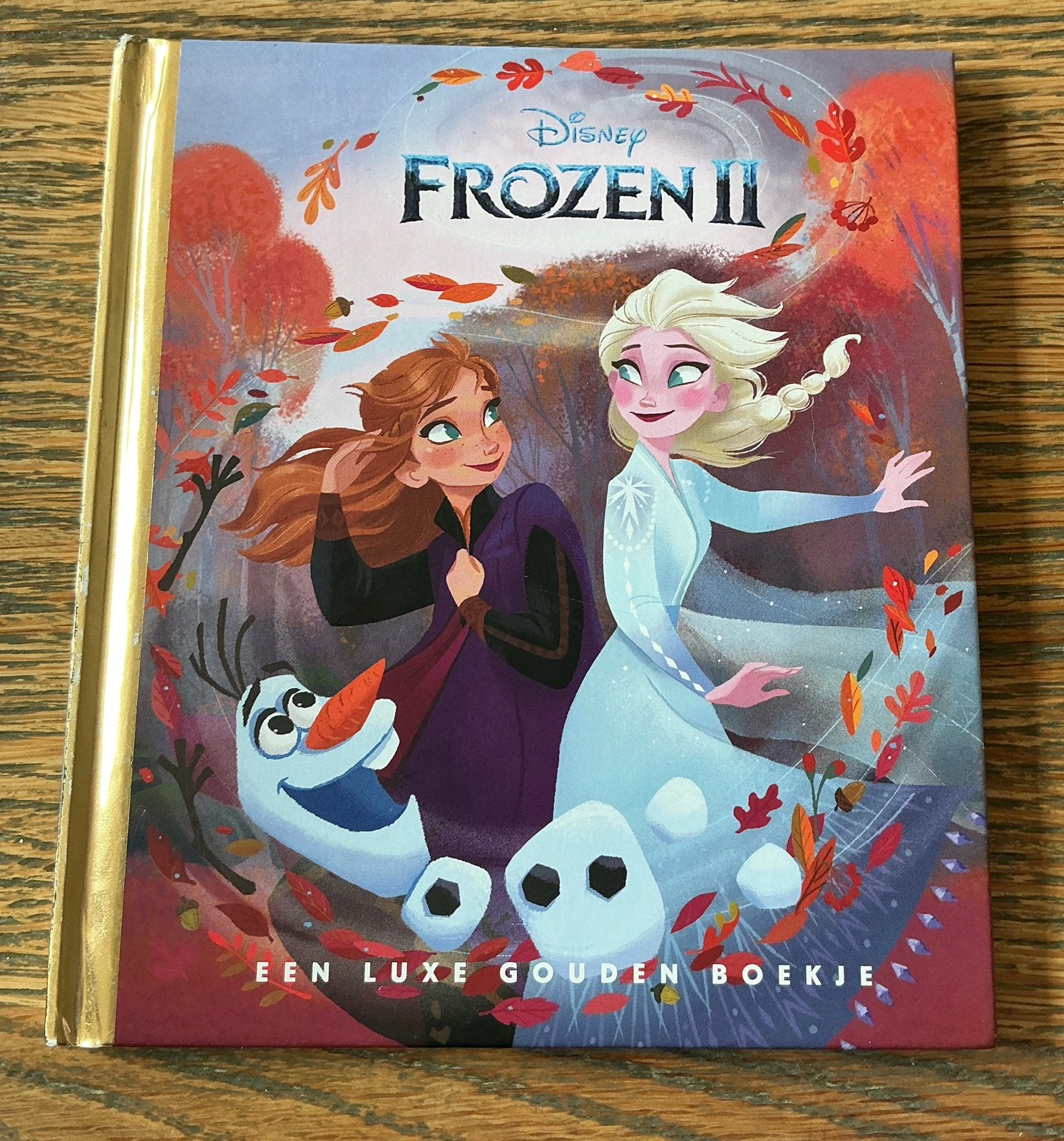 Een gouden boekje Frozen Disney speciale uitgave, Ophalen of Verzenden, Zo goed als nieuw