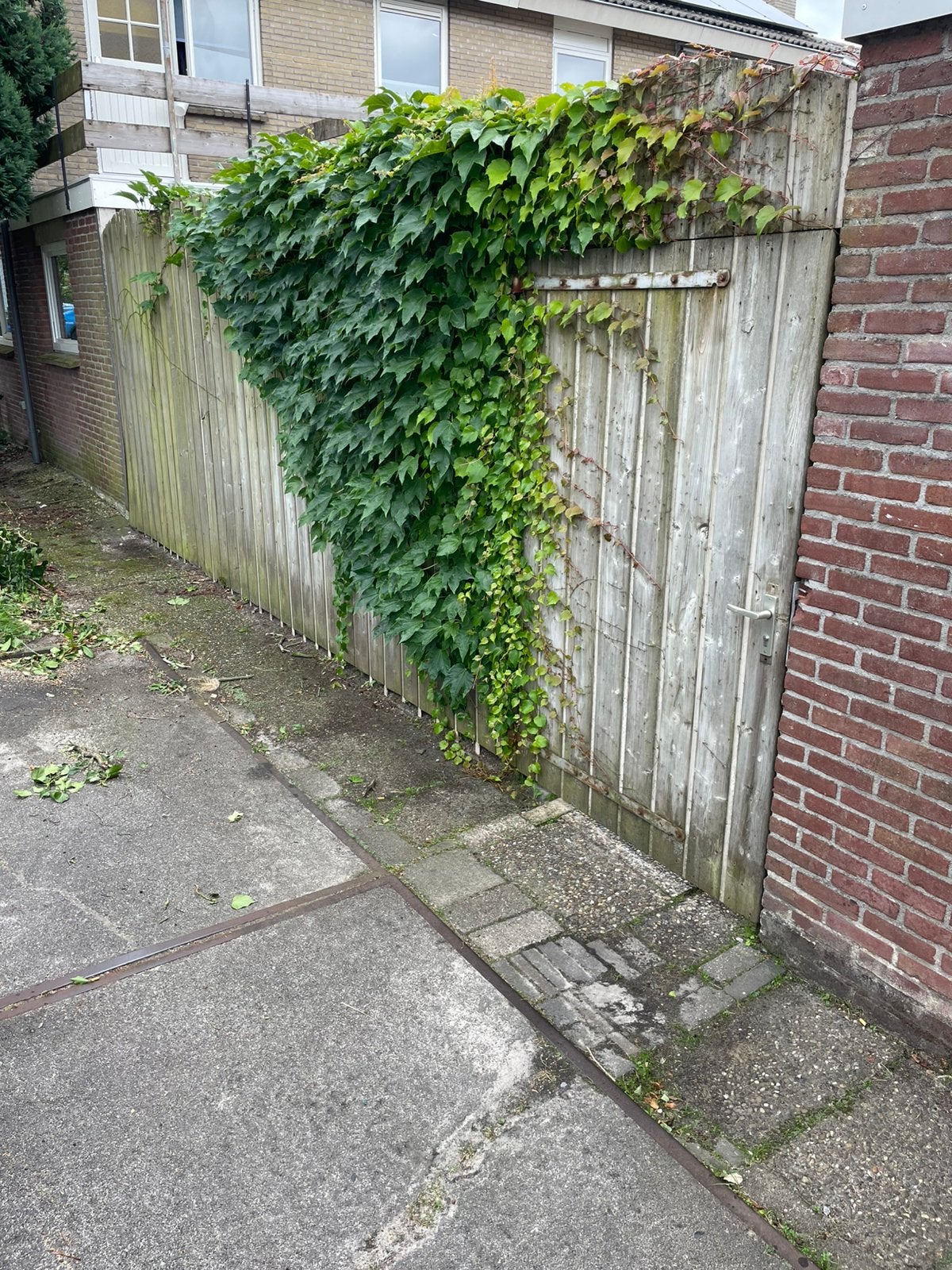 GRATIS 7 meter schutting met brede poort, Ophalen, 6 meter of meer, Hout, 1 tot 2 meter