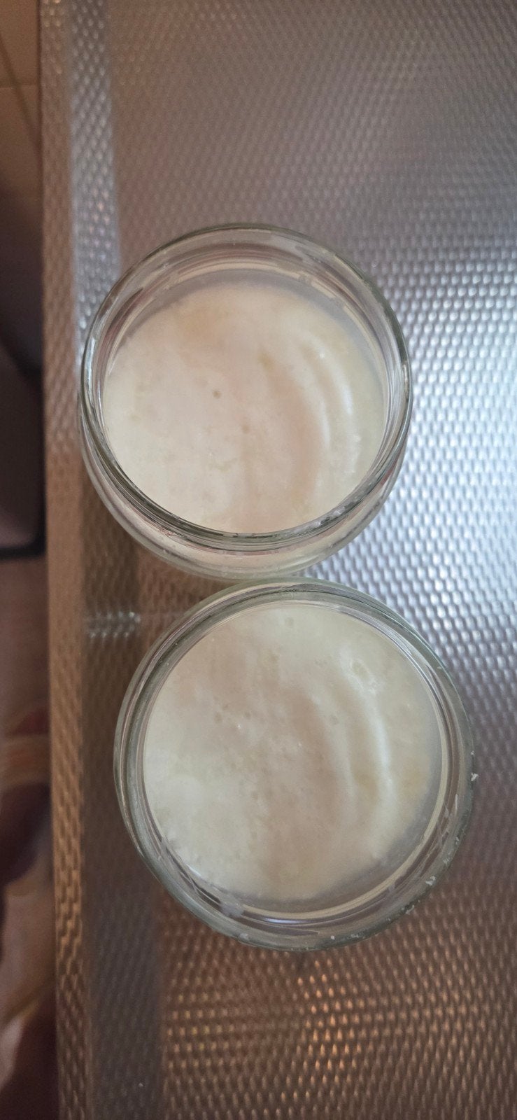 Melk Kefir  korrels, Ophalen