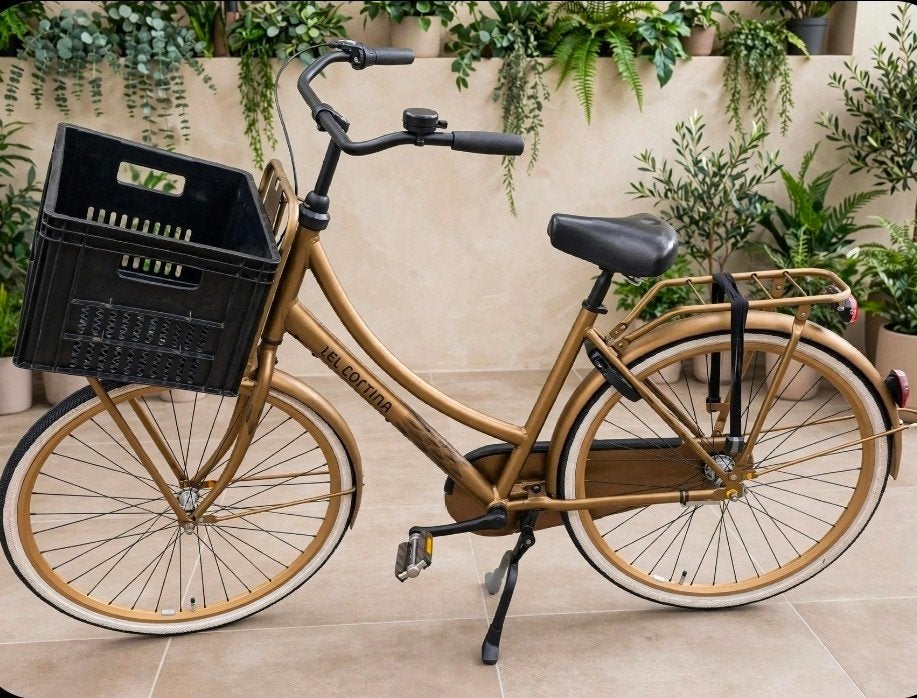 Goudkleurige CORTINA U4 met 3 versnellingen, Terugtraprem, Versnellingen, Zo goed als nieuw, 50 tot 53 cm