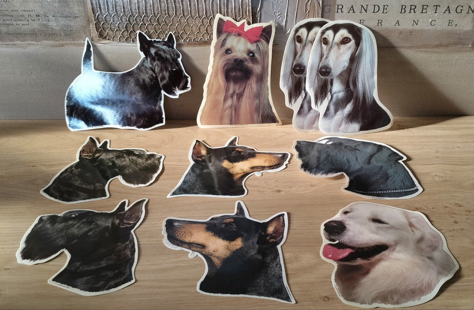 Grote sticker Terrier-Schnauzer-Pincher-Pyrenese p.st, Verzenden, Nieuw