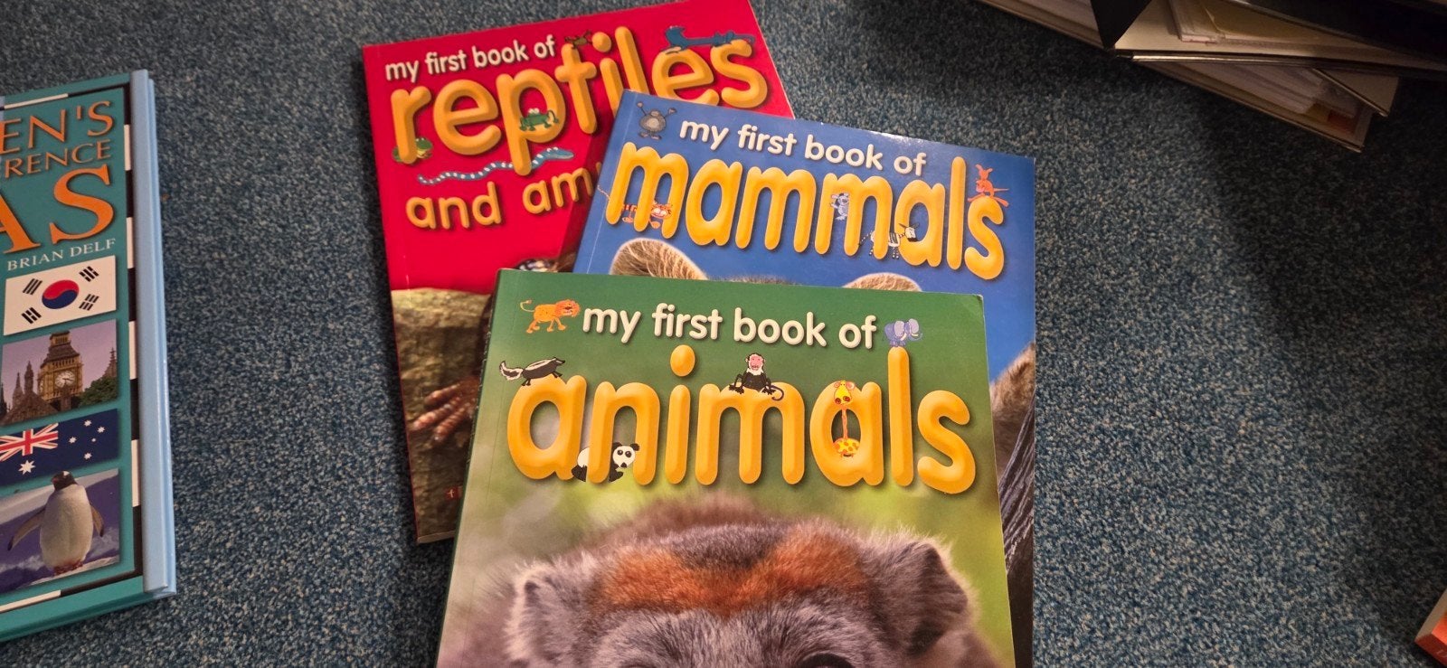 Engelse dierenboeken: reptielen, zoogdieren en andere Diere, Boeken, Ophalen of Verzenden, Gelezen, Reptielen of Amfibieën