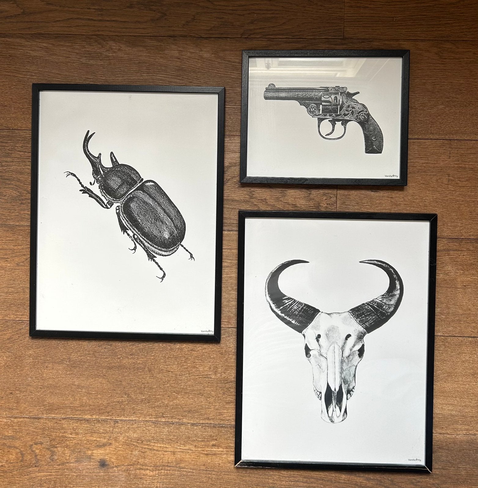 Vanilla Fly 3 houten lijsten met zwart/wit tekeningen, Ophalen of Verzenden, Zo goed als nieuw, Minder dan 50 cm, Tekening