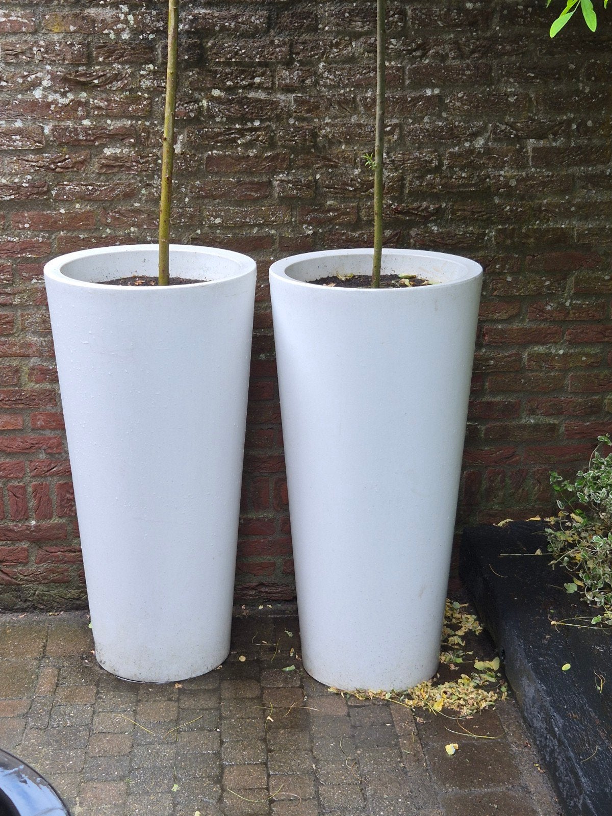 Set van 2 hoge witte Elho bloempotten, Ophalen, Kunststof, Gebruikt, Overige vormen