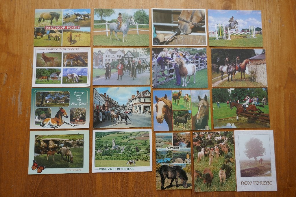 partij 17x ansicht Engeland Paard Pony Dartmoor, Ophalen of Verzenden, 1980 tot heden, Paard