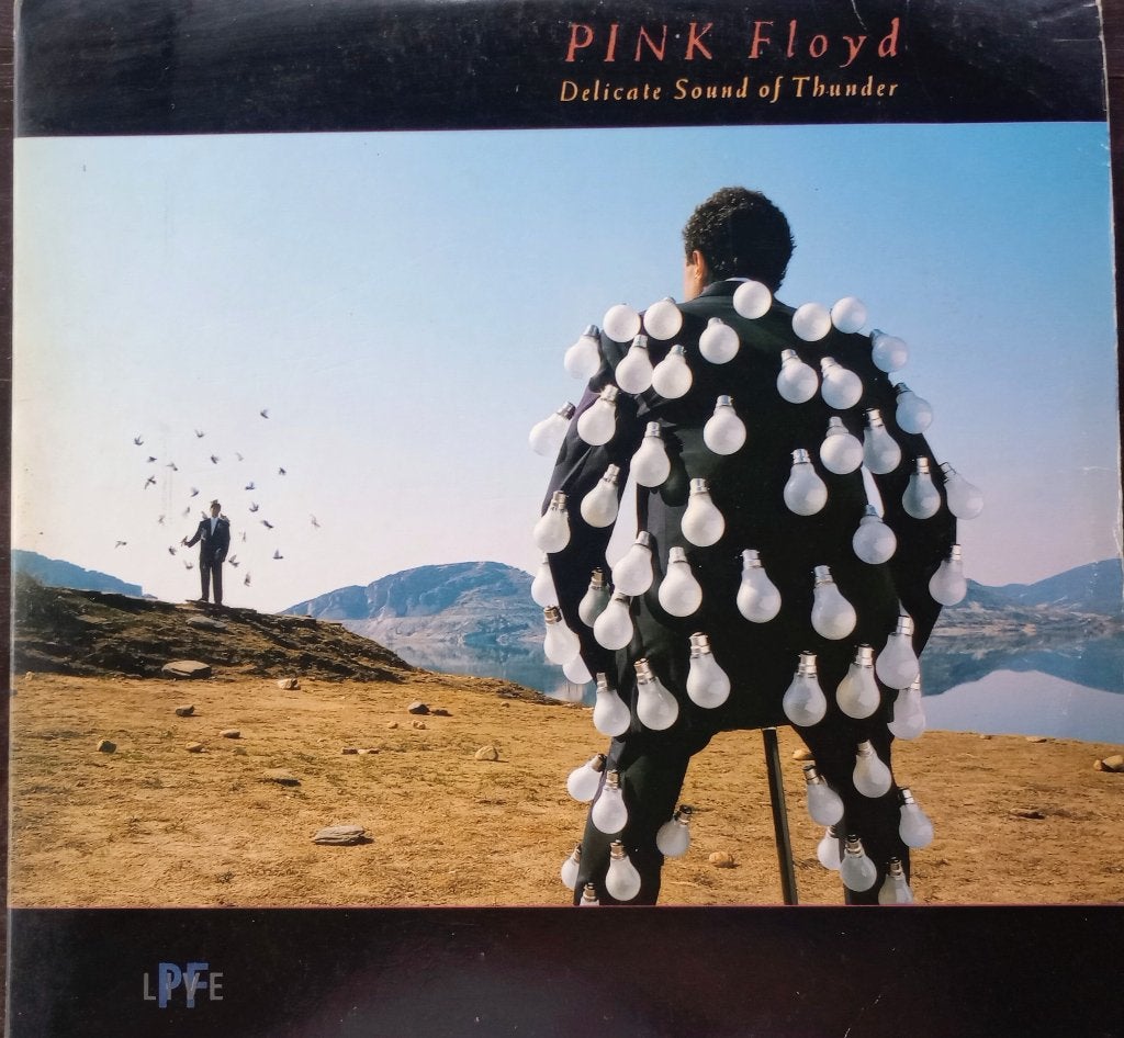 Pink Floyd – Delicate Sound Of Thunder, Originele persing, Gebruikt, Ophalen of Verzenden, 12 inch