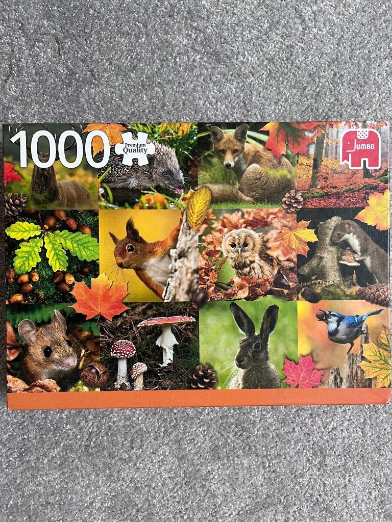 Legpuzzel, Ophalen, 500 t/m 1500 stukjes, Gebruikt