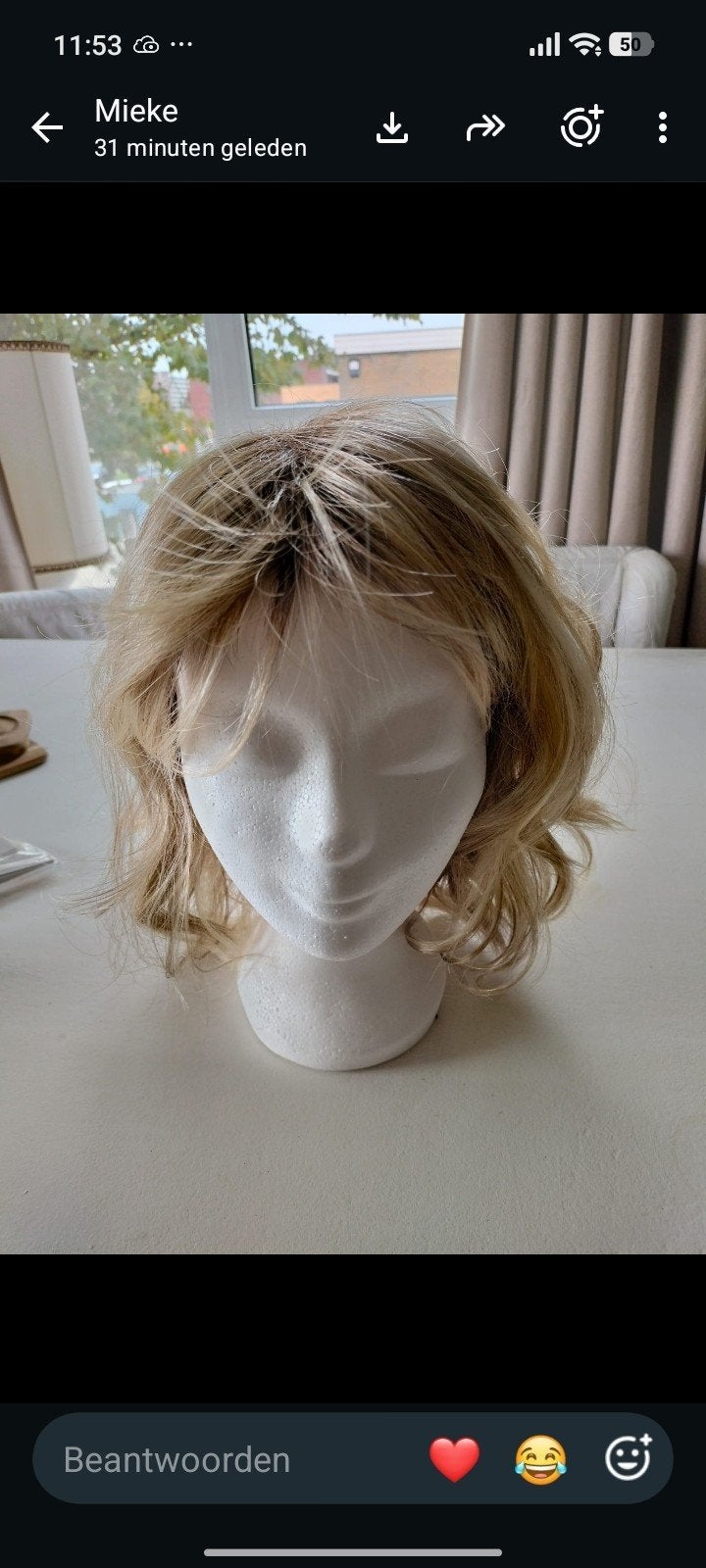 pruik van net echt haar nieuwe niet gebruikt bij Timme Haarw, Ophalen of Verzenden, Nieuw, Pruik of Haarverlenging