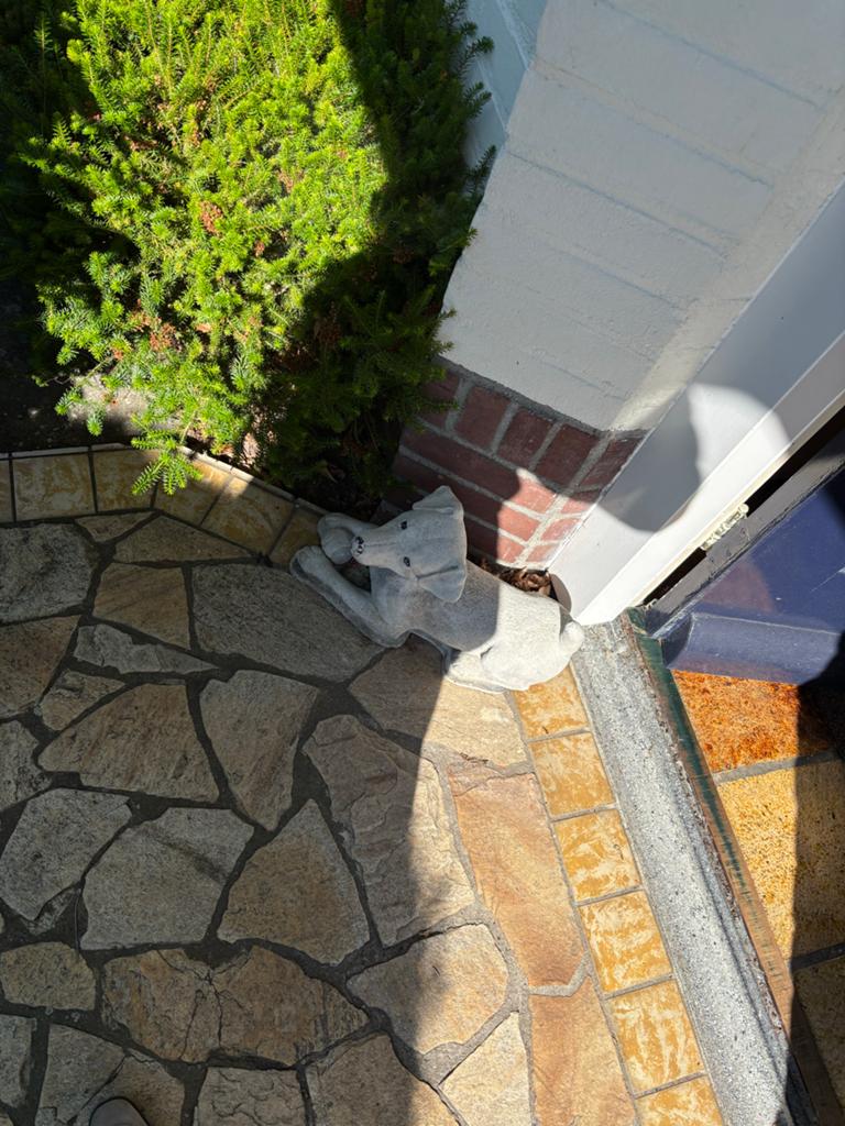 Betonnen hondenbeeld voor tuin of terras, Ophalen, Gebruikt, Beton, Dierenbeeld