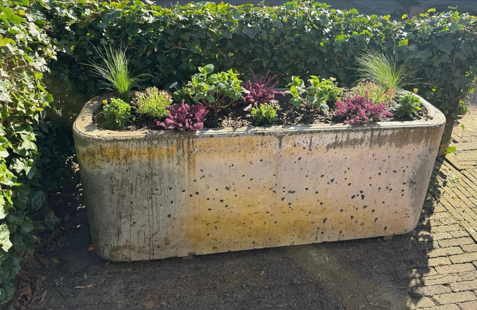 Robuuste betonnen bloembak / plantenbak / drinkbak, Ophalen, Gebruikt, 100 cm of meer, Beton