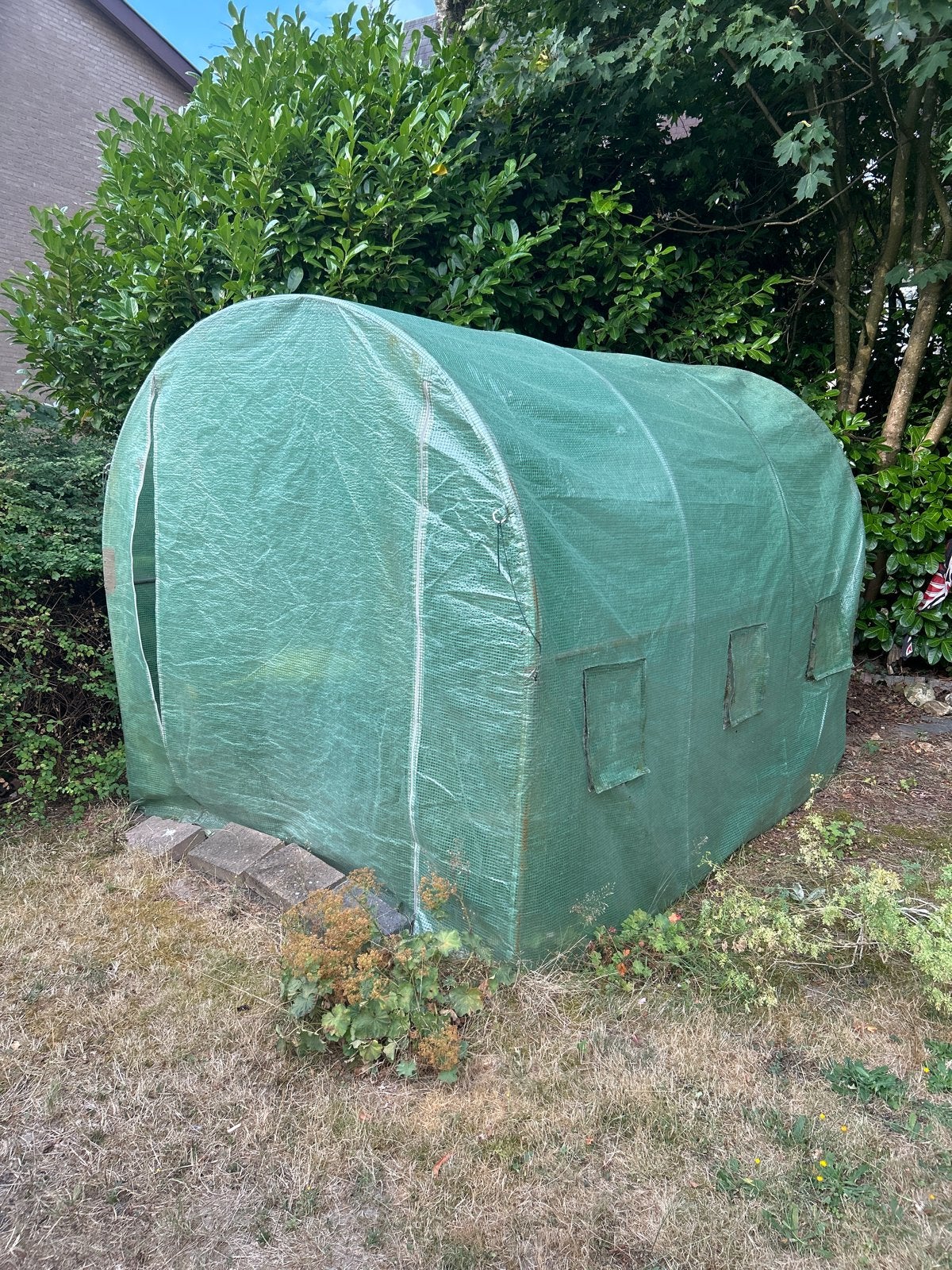Gebruikte Kweekkas - Ideaal voor uw tuin!, Gebruikt, Folie, Kweekkas, Ophalen