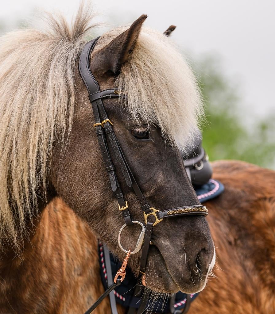 IJslander hoofdstel Ice Crystal Bruin/Goud, Dieren en Toebehoren, Paarden en Pony's | Hoofdstellen en Tuigage, ., Ophalen of Verzenden