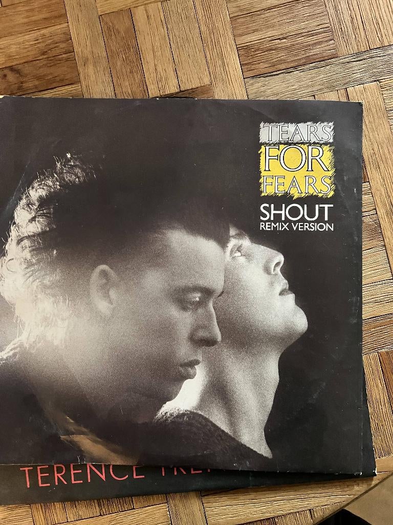 Tears for fears elpee, Cd's en Dvd's, Vinyl | Pop, Fotohoes, Ophalen of Verzenden, Zo goed als nieuw, 12 inch