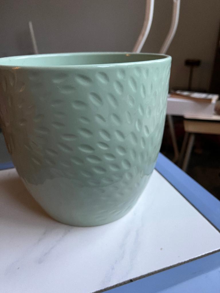 Set van 2 prachtige mintgroene bloempotten met reliëf, Ophalen, Overige soorten, Halfschaduw, In pot