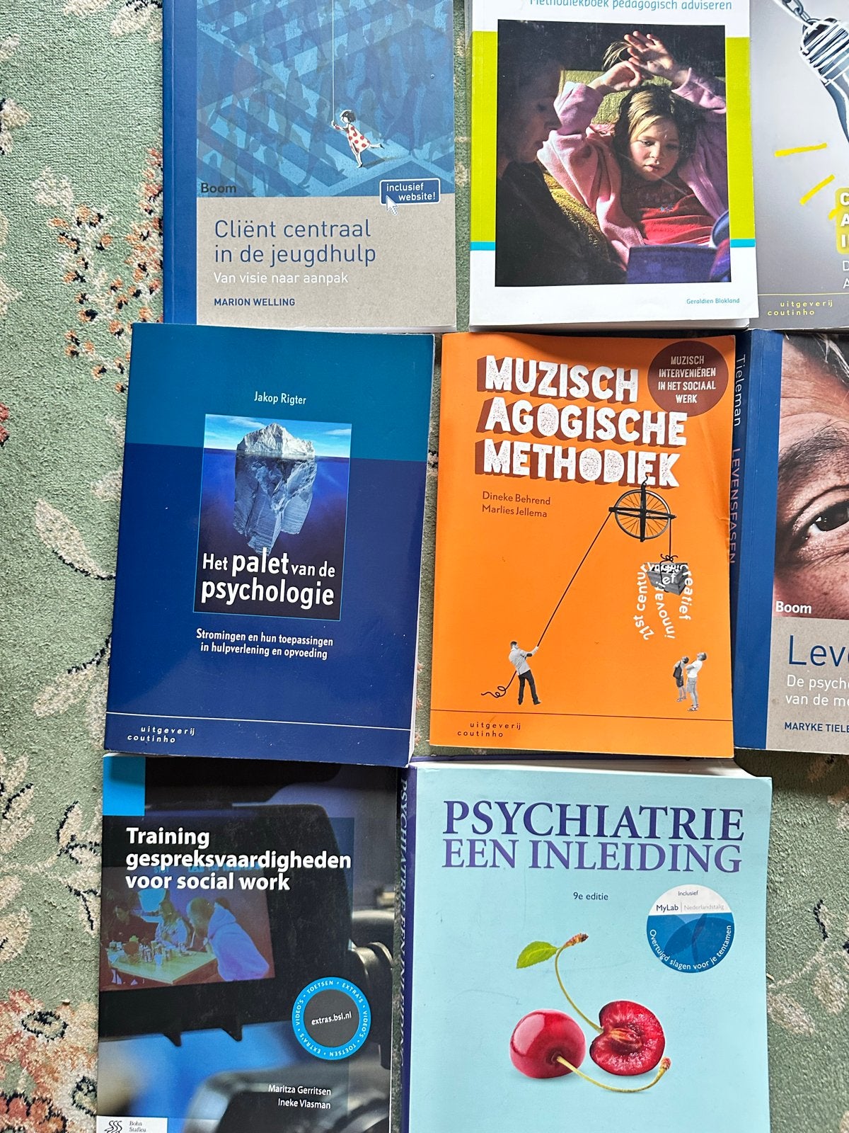 Diverse studieboeken Social Work, Psychologie, Jeugdhulp, Boeken, Studieboeken en Cursussen, Ophalen of Verzenden, Gamma, Gelezen