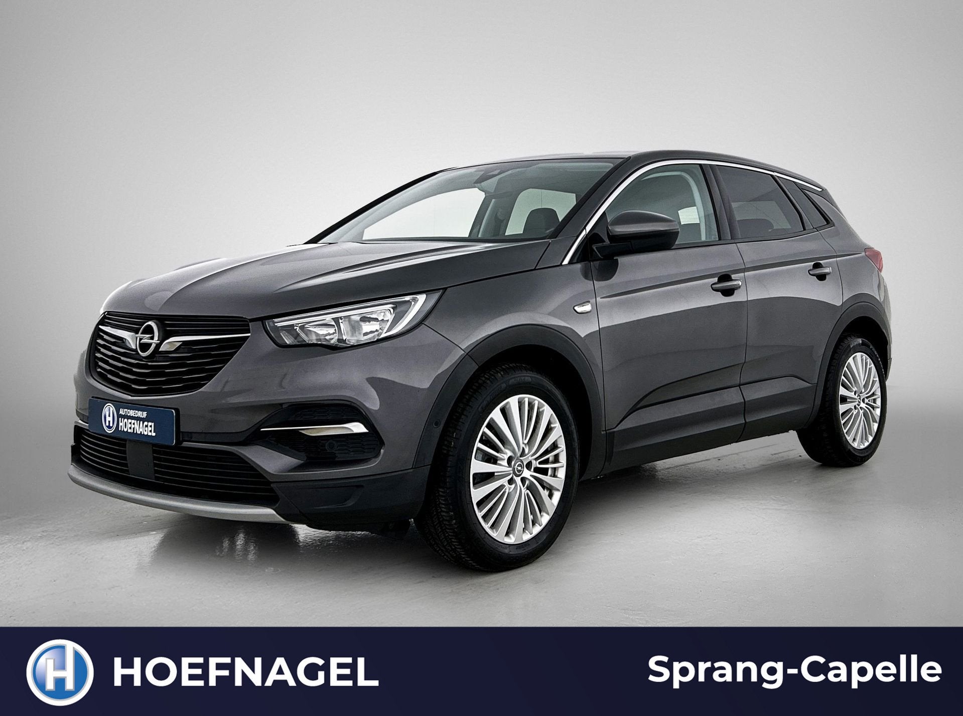 Opel Grandland X 1.2 Turbo Business Executive | Trekhaak | C, Gebruikt, 1199 cc, Origineel Nederlands, Bedrijf