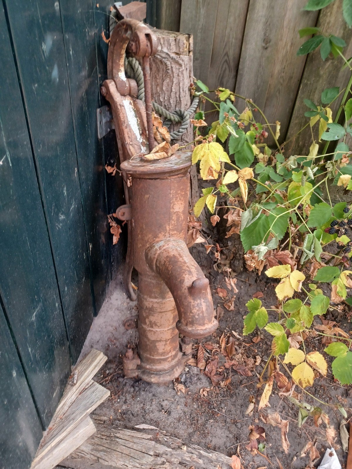 gietijzeren waterpomp ong. jaren 60, Ophalen of Verzenden, Gebruikt, Handmatig, Overige typen
