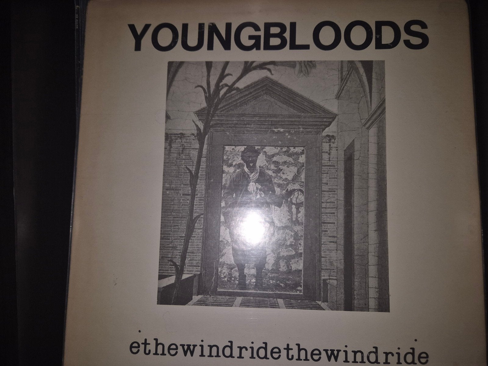 Youngbloods, Cd's en Dvd's, Vinyl | Rock, Gebruikt, Poprock, 12 inch, Verzenden