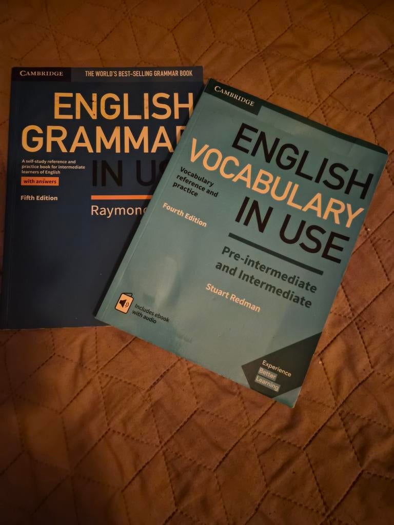 Engelse Grammatica & Woordenschat Boeken (Cambridge), Ophalen of Verzenden, Zo goed als nieuw, Raymond Murphy & Stuart Redman