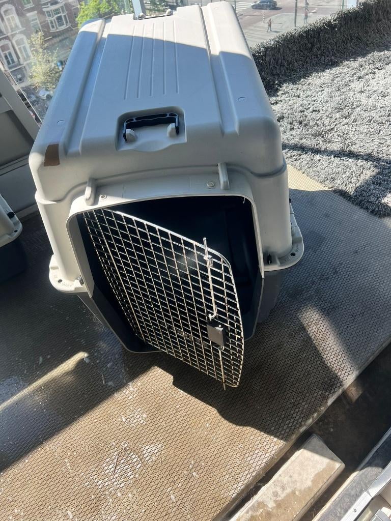 Transportbox hond XL up to 30kg, Ophalen, Zo goed als nieuw