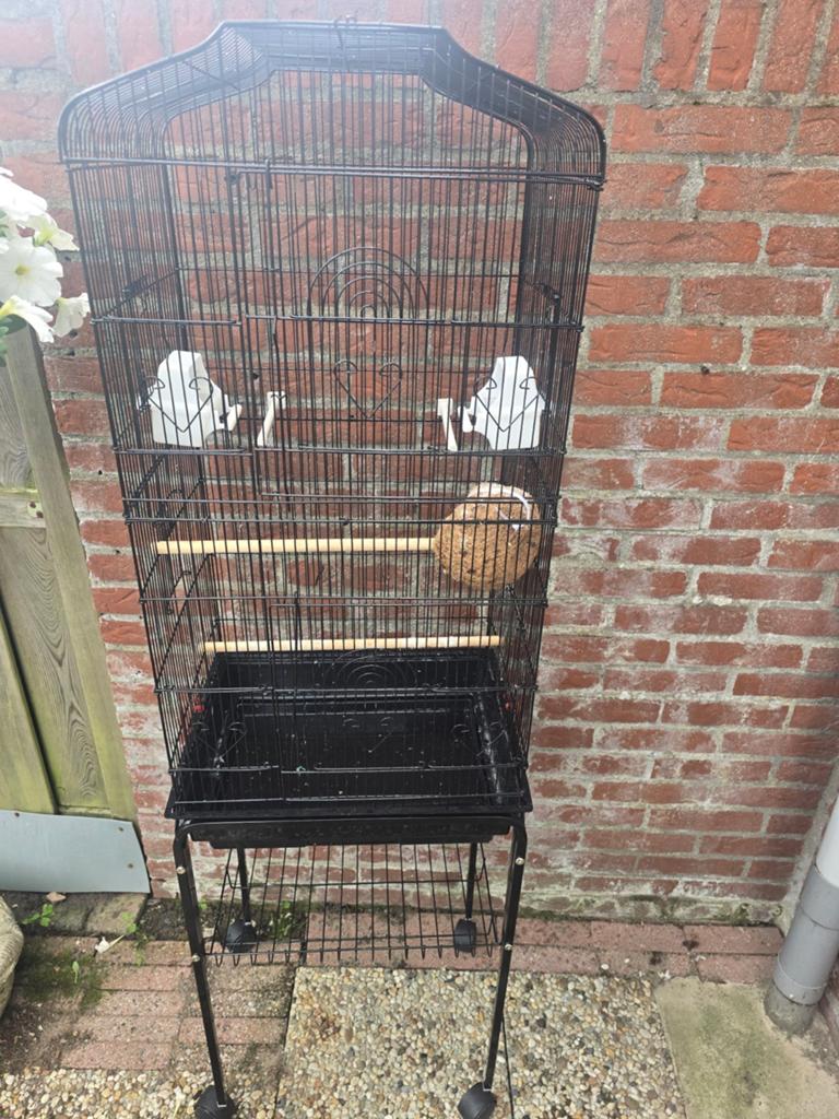 Vogelkooi, Dieren en Toebehoren, Ophalen, Zo goed als nieuw, Metaal, Vogelkooi