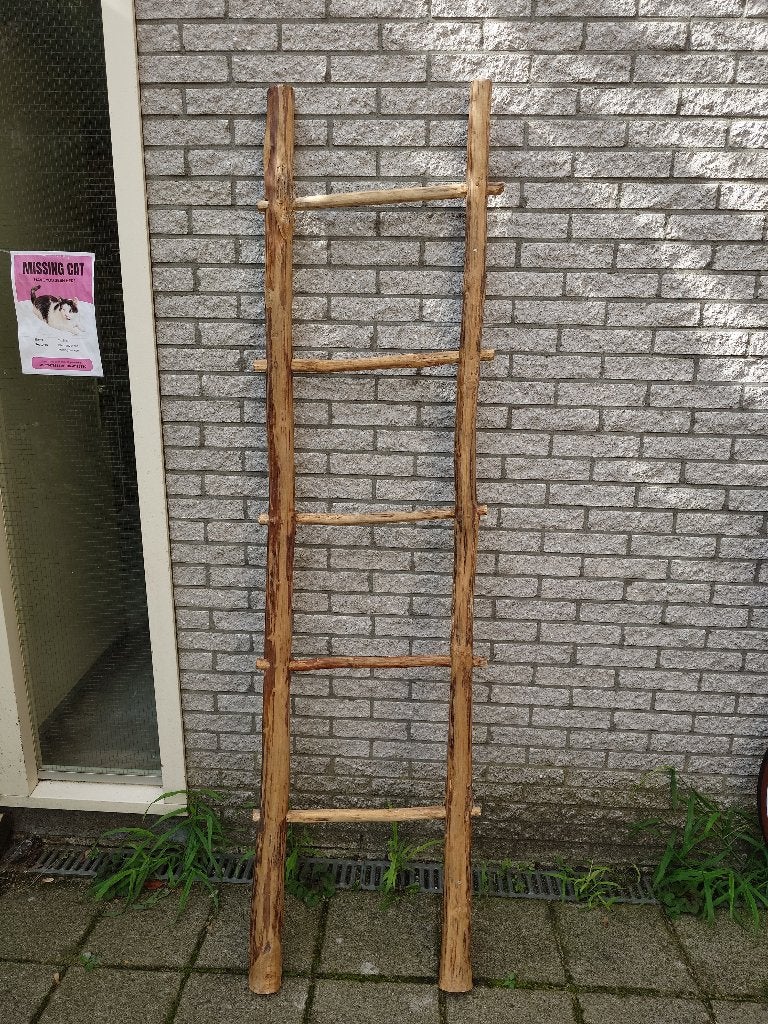 Plant and decoration ladder, plant en decoratie ladder, Huis en Inrichting, Ophalen of Verzenden, Zo goed als nieuw, Hout