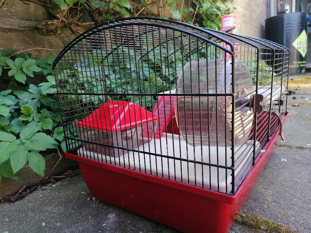 Hamsterkooi 2x (zie beschrijving), Dieren en Toebehoren, Kooi, Gebruikt, Minder dan 75 cm, Muis