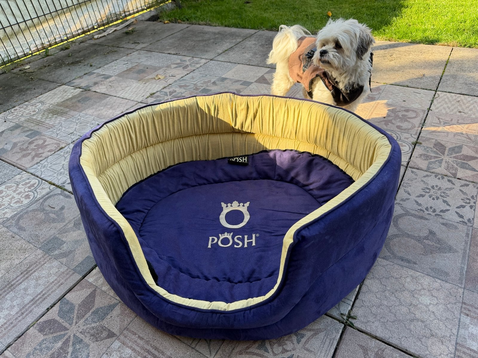 Honden mand xl Posh, Ophalen of Verzenden, Zo goed als nieuw