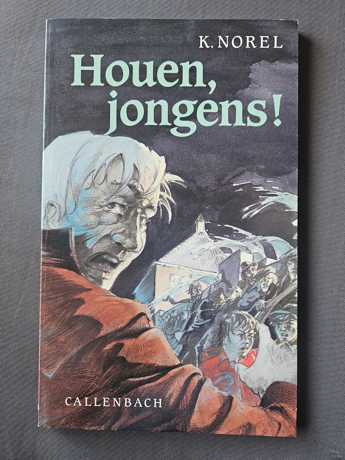 Houen, jongens! - K. Norel (Jeugdboek), Boeken, Verzenden, Gelezen, K. Norel