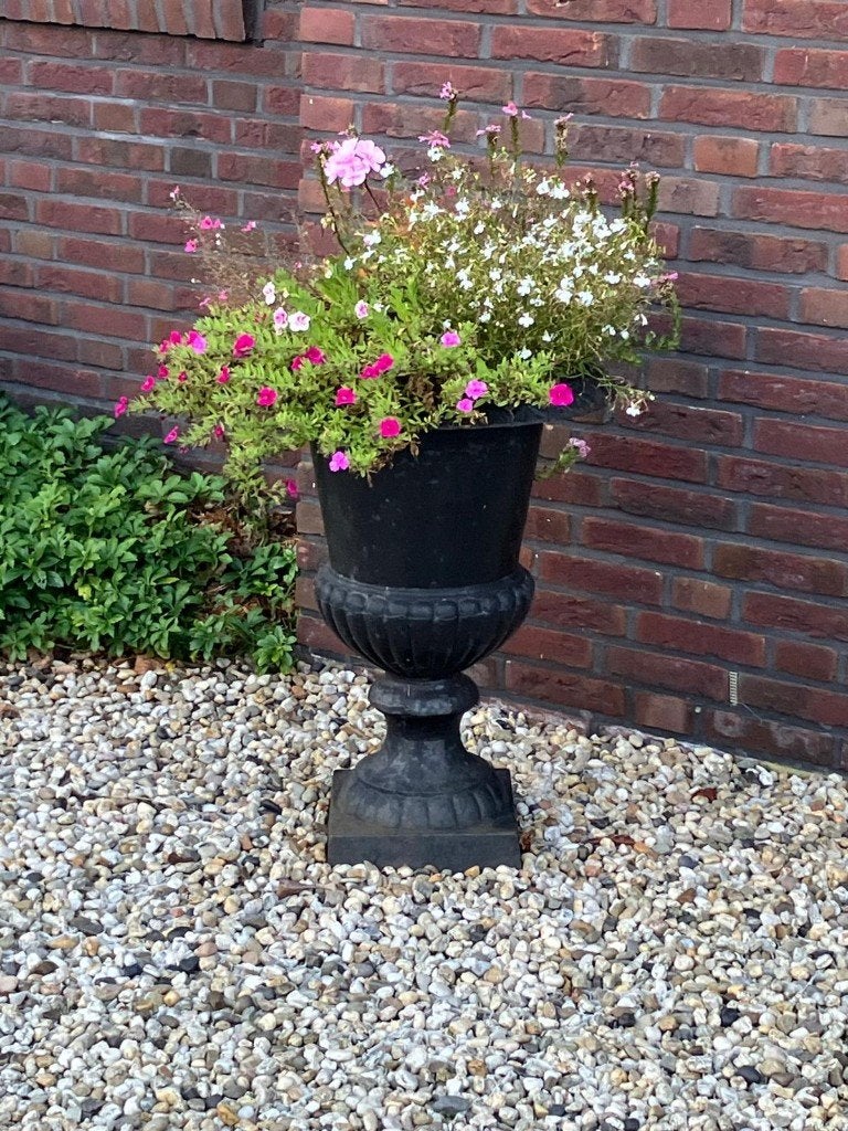 Gietijzeren tuinvazen - bloempotten, Ophalen, Gebruikt