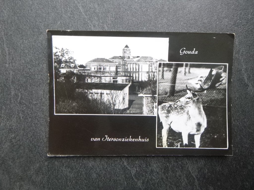 Gouda, van Iterson ziekenhuis/hert  12ct zegel, Verzenden
