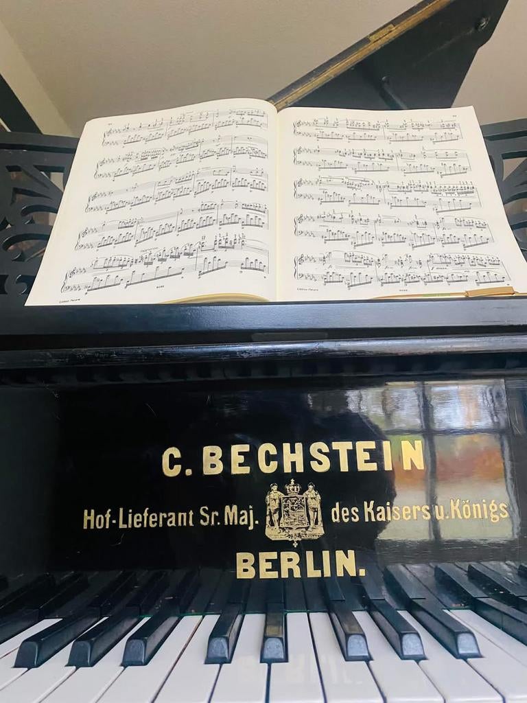 Bechstein uit 1886, Ophalen of Verzenden, Gebruikt, Zwart, Vleugel
