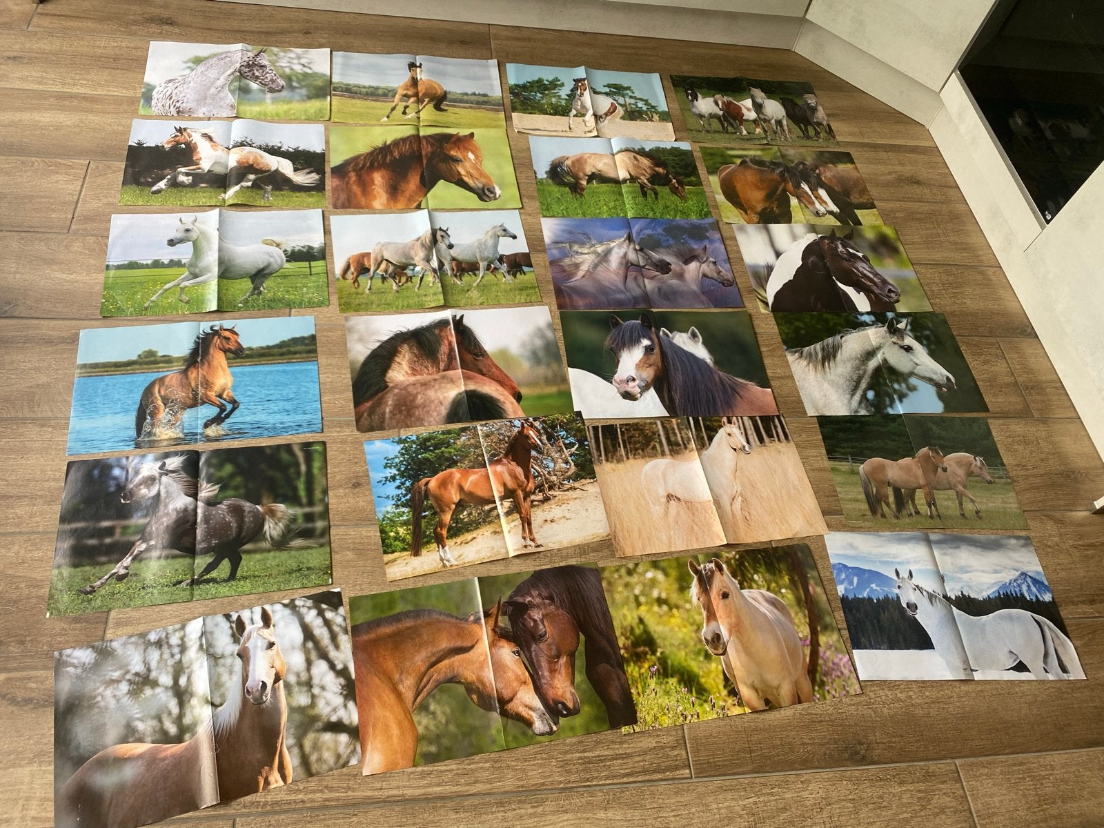 Paarden poosters dubbelzijdig, Ophalen of Verzenden, Nieuw, A1 t/m A3, Overige onderwerpen