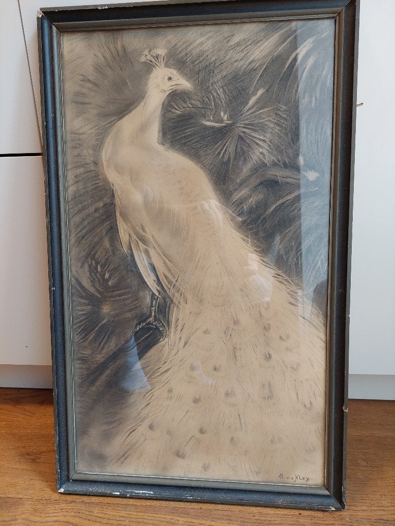 Tekening Pauw, Ophalen, Tekening, Overige technieken, Ingelijst