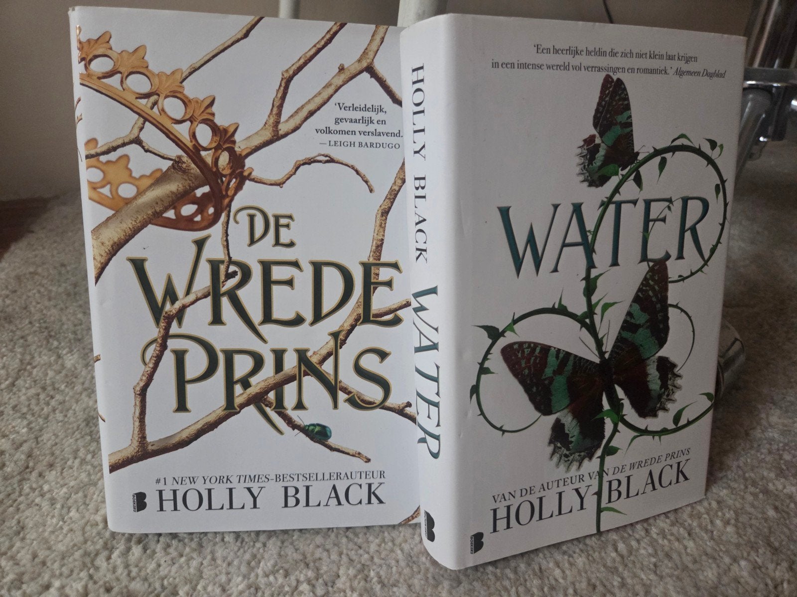2 fantasy boeken van Holly Black - De wrede prins & Water, Boeken, Ophalen, Zo goed als nieuw, Holly Black