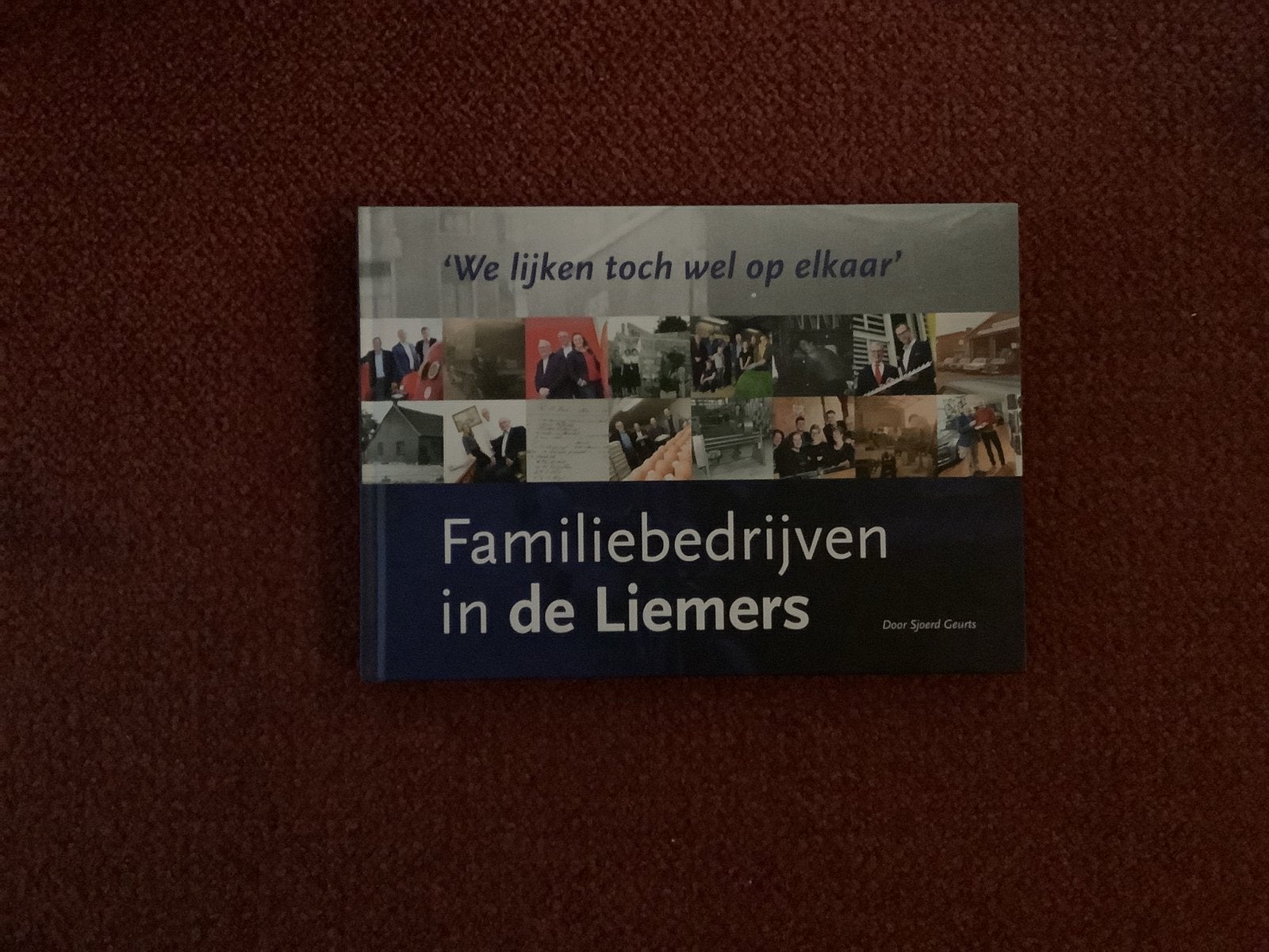Familiebedrijven in de Liemers, Ophalen of Verzenden, Nieuw, Overige onderwerpen