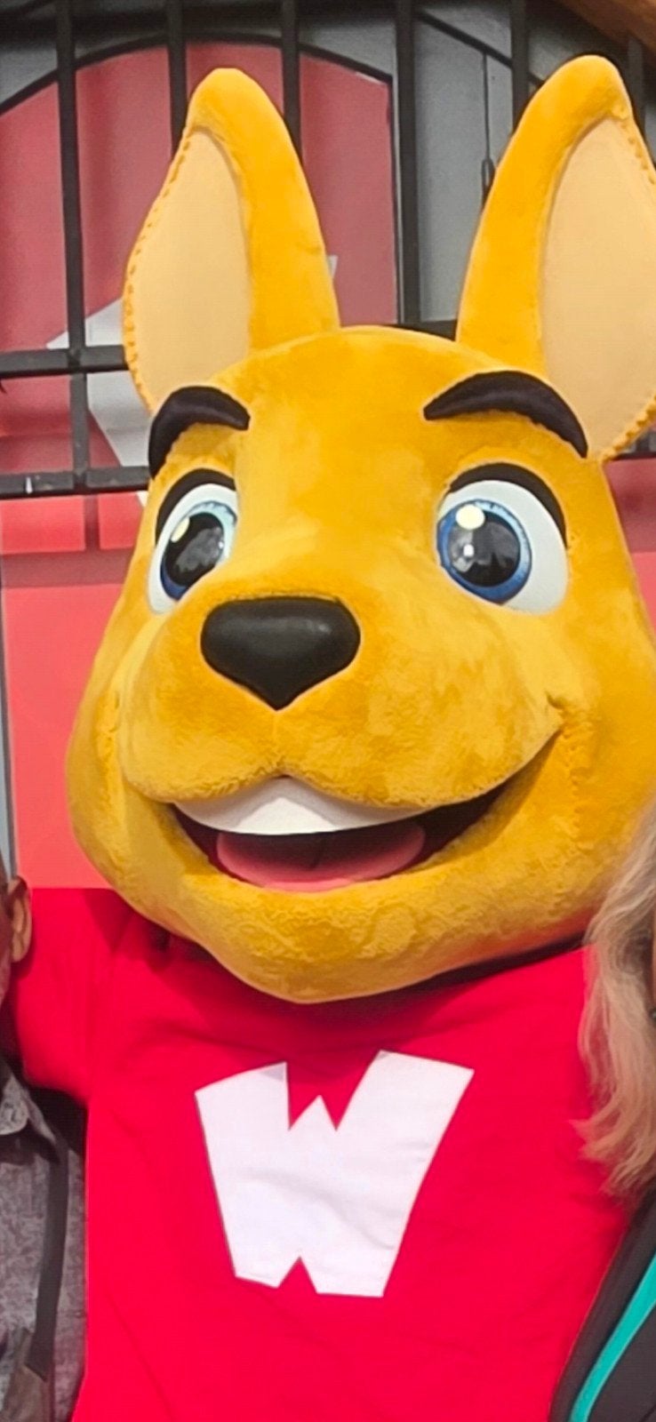 Walibi Belgie, Twee personen, Ticket of Toegangskaart