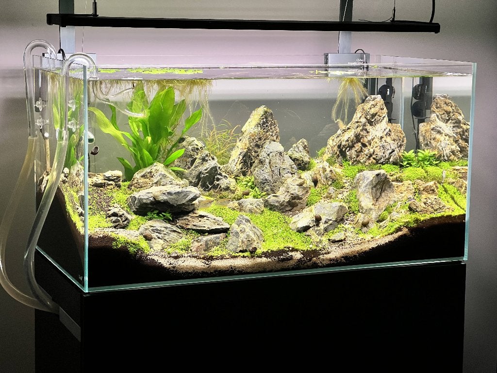 OASE ScaperLine 90 aquarium + kast, Chihiros LED & CO2, Dieren en Toebehoren, Vissen | Aquaria en Toebehoren, Ophalen, Gebruikt