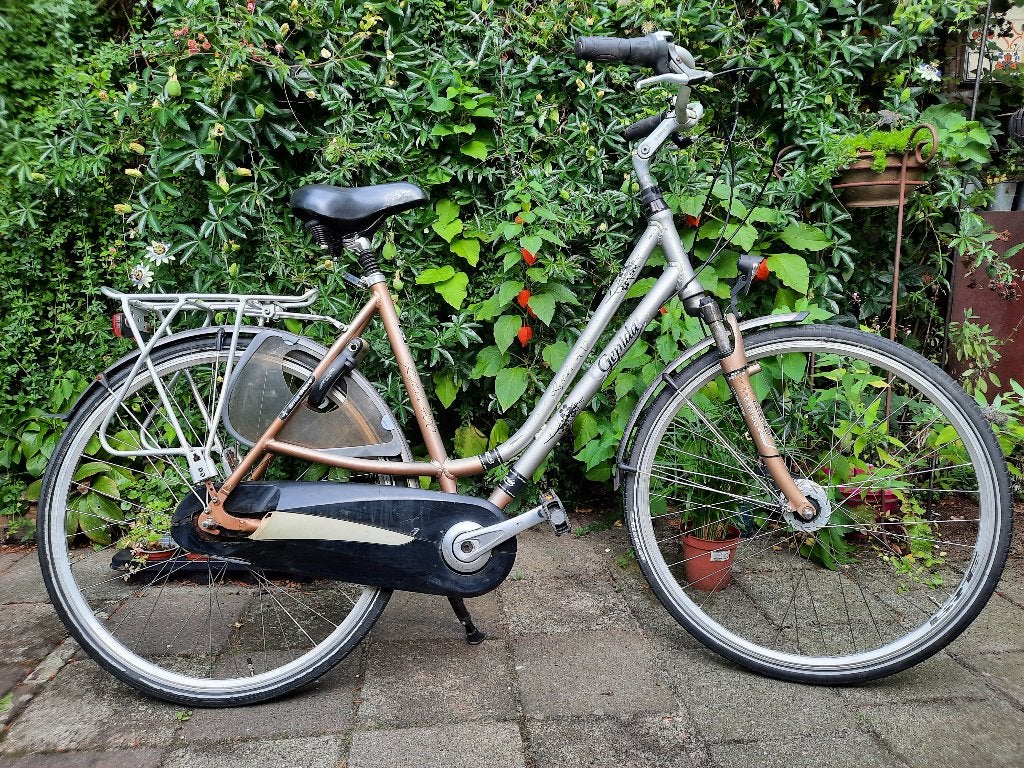 Prima damesfiets te koop, Versnellingen, Trommelrem, Ophalen, Overige merken