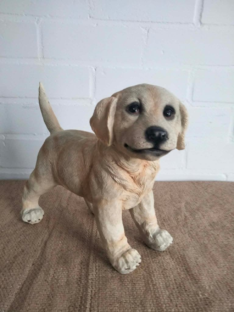 Honden beeld, Ophalen, Zo goed als nieuw, Mens