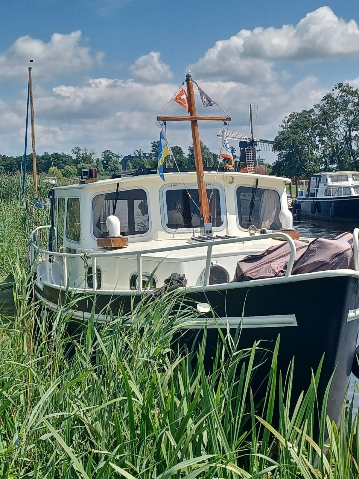 De Jong Steven vlet Motorboot, Overige merken, 9 m, Gebruikt, Diesel
