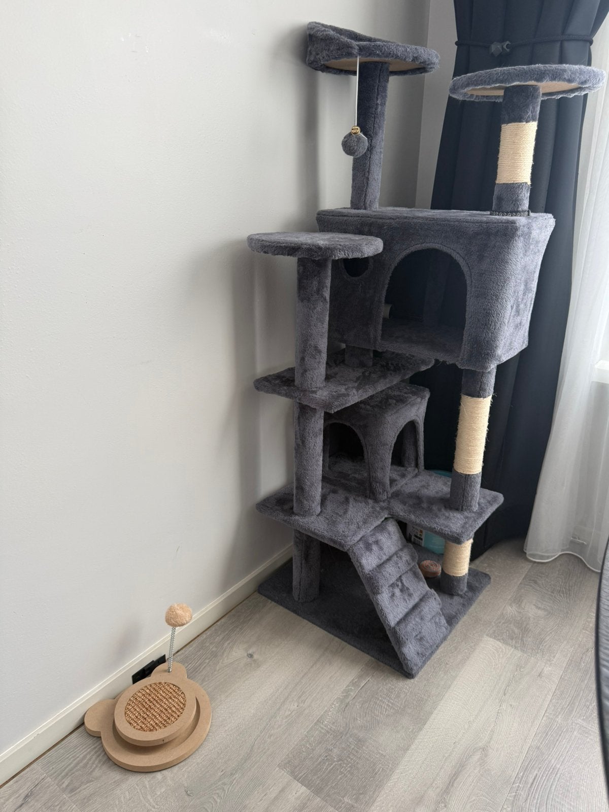 Foto 4 van Mia – Witte & Lilac British Shorthair met Stamboom
